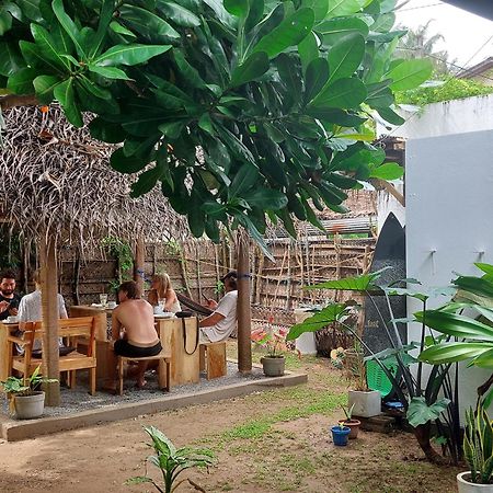 Cosynsurf Bed & Breakfast Matara Dış mekan fotoğraf