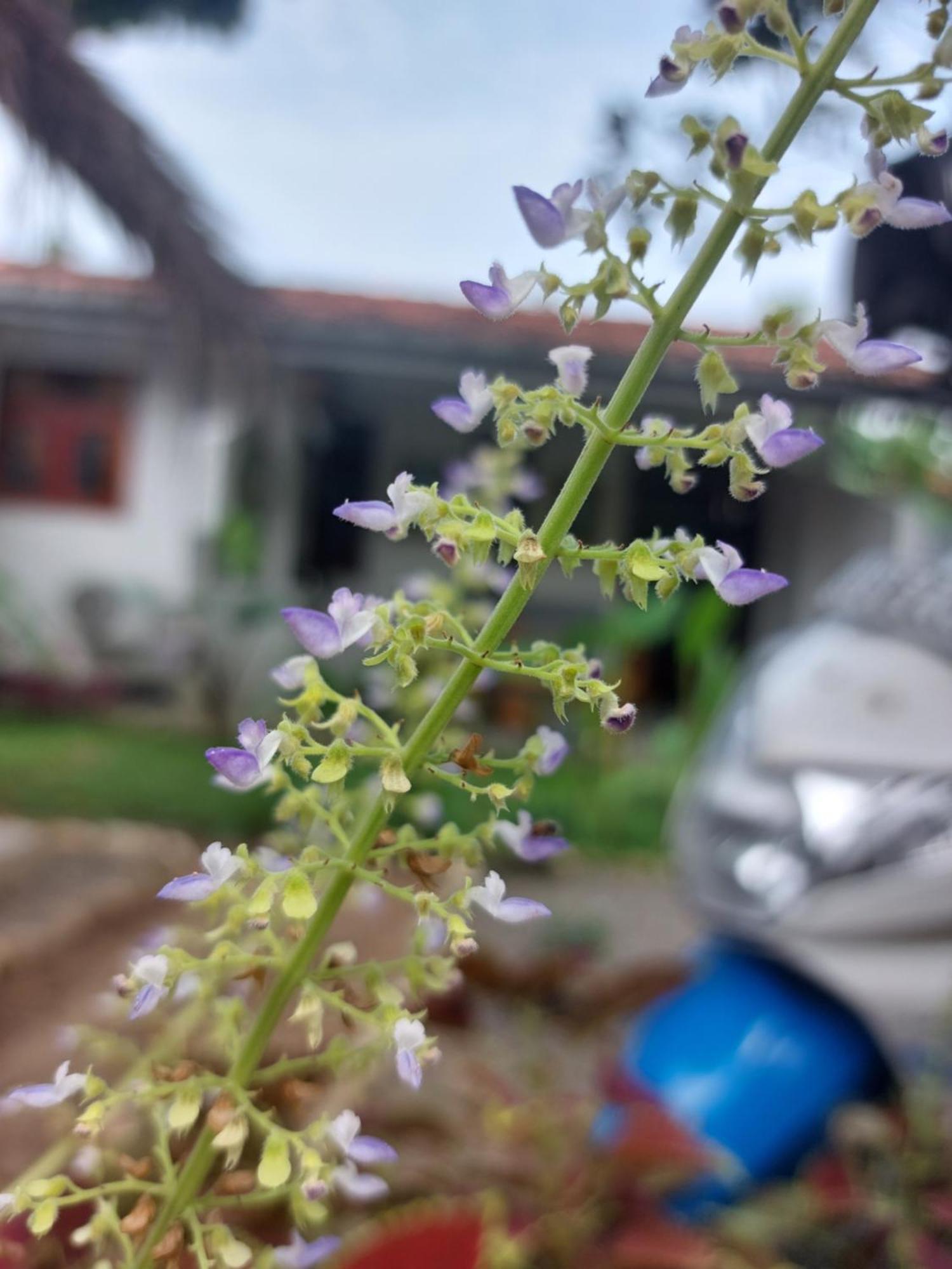 Cosynsurf Bed & Breakfast Matara Dış mekan fotoğraf