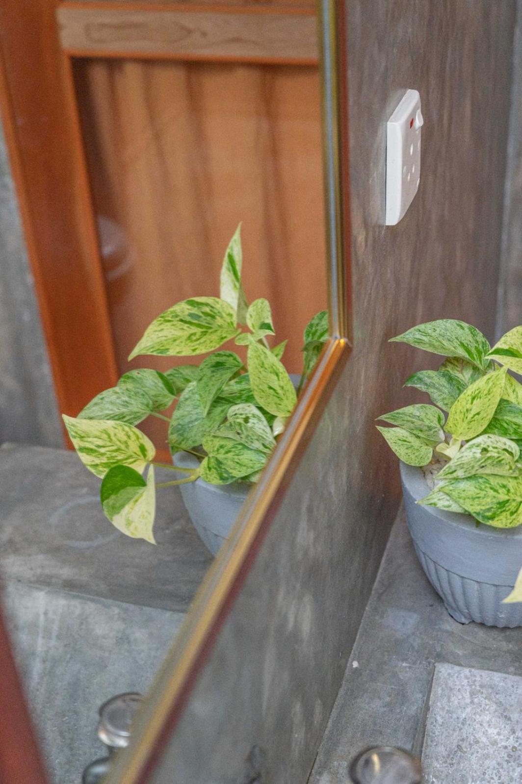 Cosynsurf Bed & Breakfast Matara Dış mekan fotoğraf